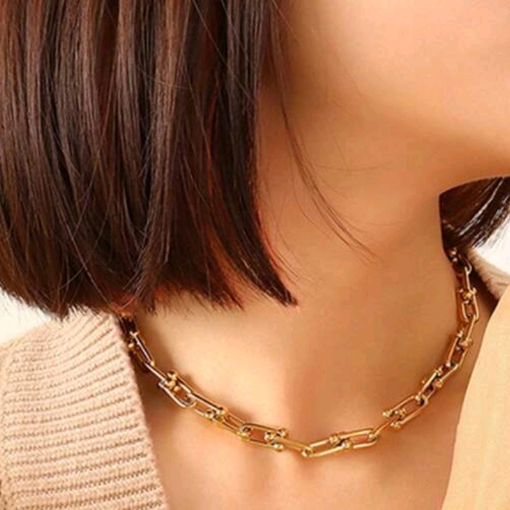 NEW Gold Plated Stainless Steel Horseshoe Link Necklace